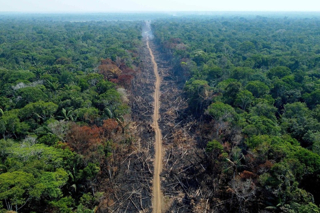 An aerial view of a burnt and destroyed area of forest along the Transamazonian highway in Humaitá, Amazonas State, Brazil, on September 16, 2022. Photo: AFP