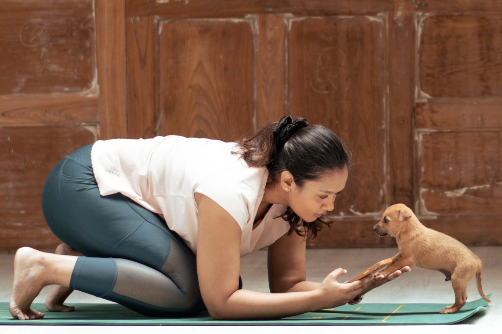 An India-based initiative teaches beginners’ yoga to people as dogs and cats from shelters roam about the class. Its founders call it “pawga”, and say it is a “one-of-a-kind wellness experience”. Photo: Pawga – Pet Yoga India