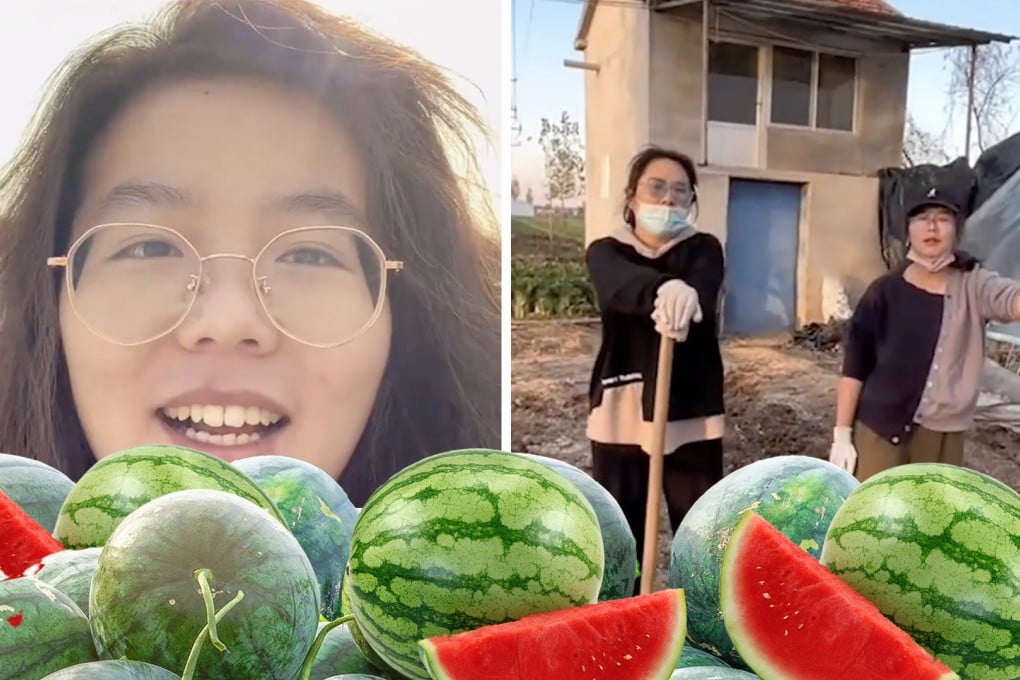 From a career in marketing for the online gaming industry to growing melons, how one woman’s career choice has renewed debate on career ambition and life goals in China. Photo: SCMP composite/handout
