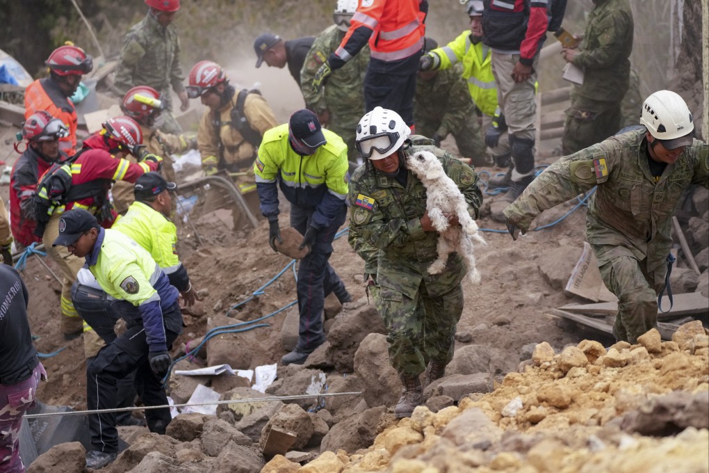 A soldier carries a dog found among the rubble in Alausi, Ecuador. Photo: AP