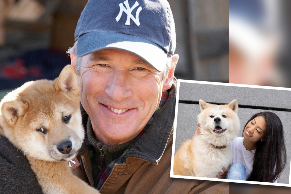 Chinese social media has been delighted by an event that saw scores of pet owners take their dogs to the cinema to watch a remake of a famous Japanese movie about animal loyalty. Photo: SCMP composite