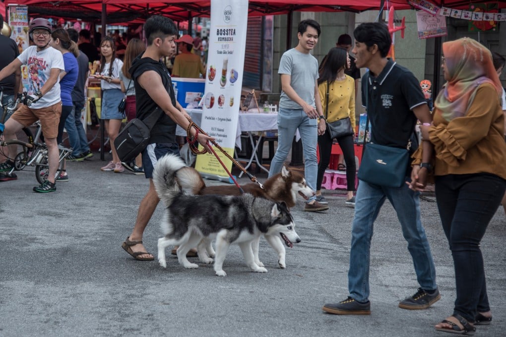 Dogs in Malaysia must be registered with local authorities or they will be considered strays when they venture off private property. Photo: Shutterstock