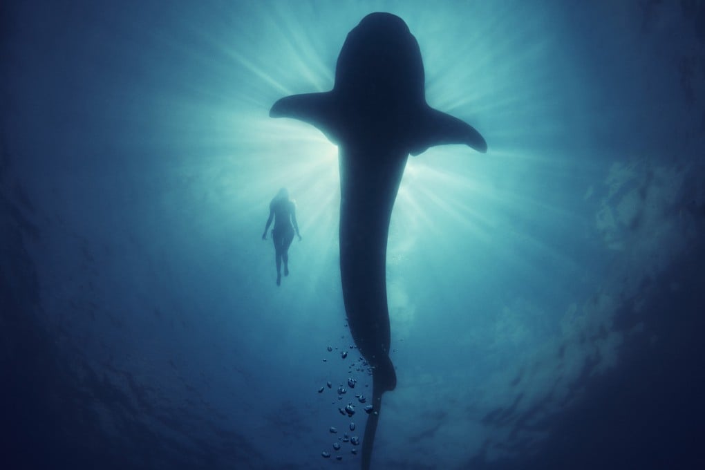 An underwater photo taken by photographer and videographer Sumer Verma, who produced underwater shots for the global Bollywood blockbuster RRR. Photo: Sumer Verma