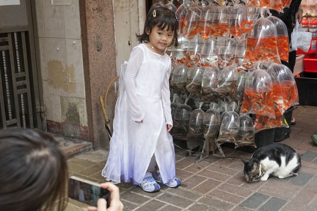 People walk along Tong Choi Street, where many shops sell pet fish. Photo: Elson Li