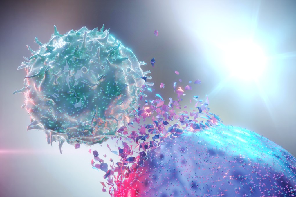 Chinese researchers have identified the crucial role played by the bumps on a Natural Killer cell as it identifies and destroys cancer cells. Photo: Shutterstock