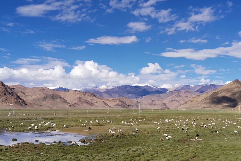 Much of the Tibetan Plateau is still used as pasture, with less than 1 per cent being farmed. Photo: Handout