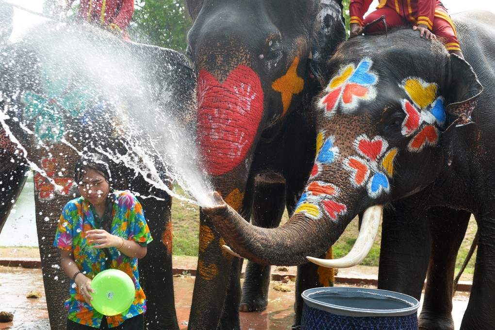 Elephants join the Songkran Festival celebrations in Thailand. Photo: Xinhua