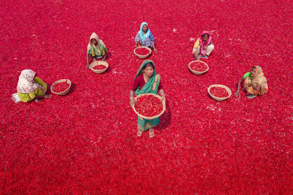 Sustainable and resilient agrifood systems depend on “closing gaps in generating equality and empowering women”, a study finds. Photo: dpa
