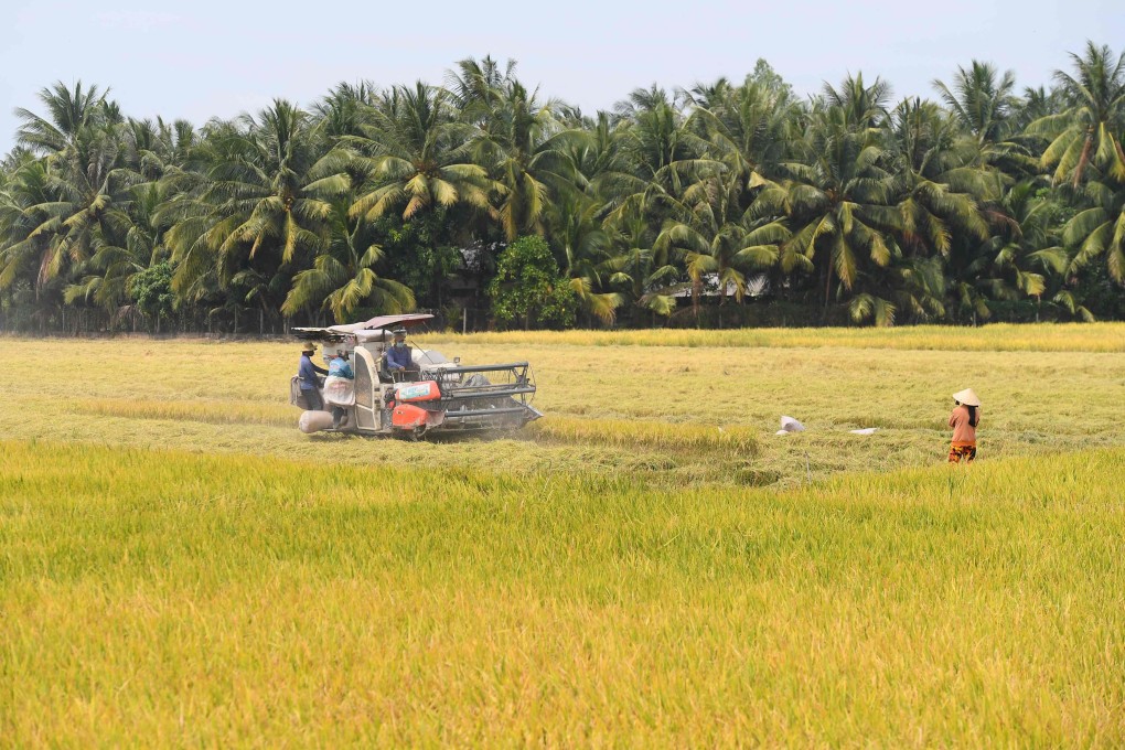 Philippines seeks 330,000 tonnes of rice imports amid dwindling stocks ...