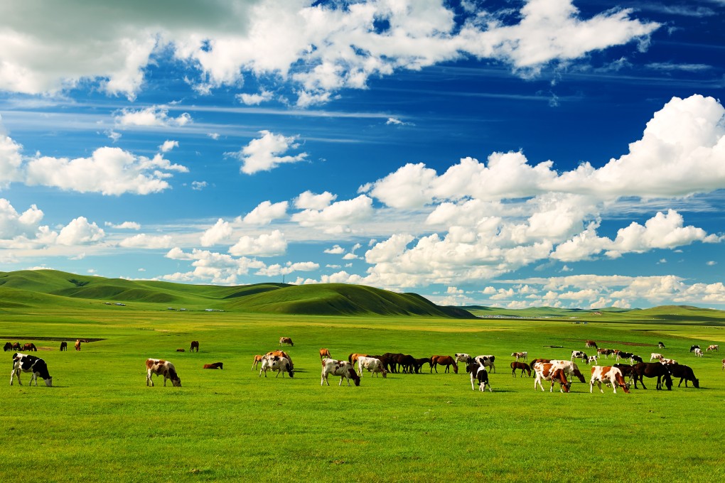 The group’s potential plans  include a project to reverse the degradation of grasslands caused by grazing in Mongolia. Photo: Shutterstock Images