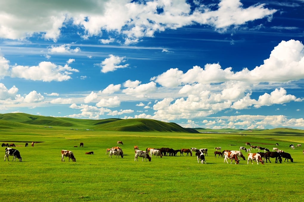 The group’s potential plans include a project to reverse the degradation of grasslands caused by grazing in Mongolia. Photo: Shutterstock Images