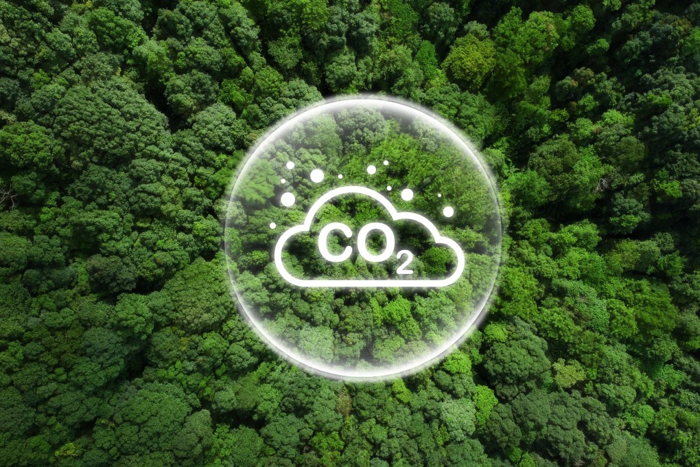 The road to transforming carbon markets into a mature green finance system is arduous and long, according to analysts. Photo: Shutterstock