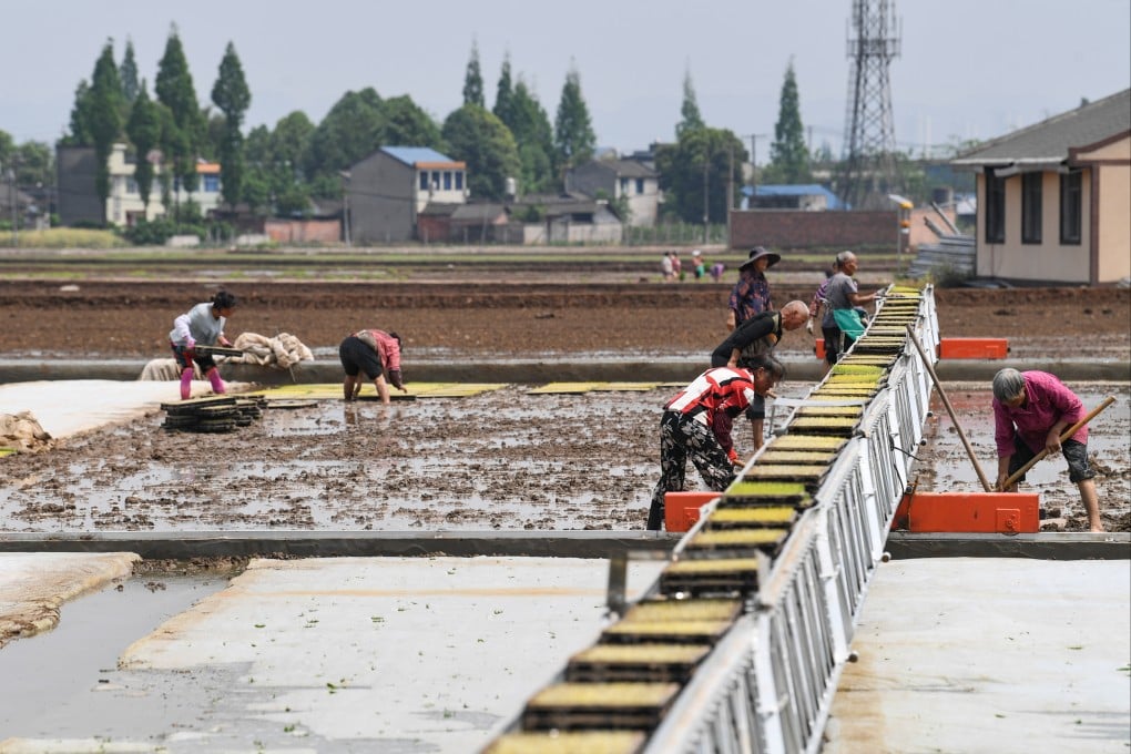 President Xi Jinping has previously called for ‘Chinese people to hold the rice bowl in their own hands’, while in March, new Premier Li Qiang encouraged farmers to grow more crops to ensure Chinese ‘hold their bowls in their own hands’. Photo: Xinhua