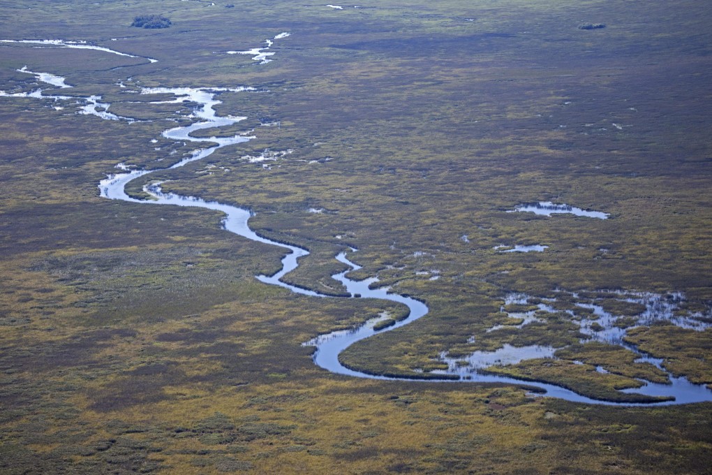 Argentina’s Ibera Wetlands, a 13,000 square kilometre expanse once derided as wasteland but whose biodiversity has been restored through the creation of a national park and rewilding - reintroducing animals such as the jaguar and birds such as macaws. Photo:  Daniel Allen