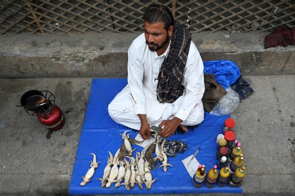 Pakistani vendor Yasir Ali waits for customers while sitting next to paralysed Hardwicke’s spiny-tailed lizards in Rawalpindi’s Raja Bazaar. Photo: AFP