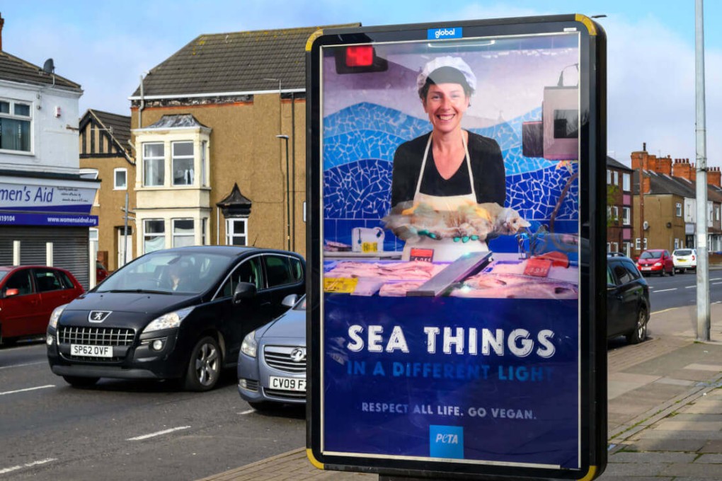 An advertisement put up by animal rights group PETA, in the English seaside town of Cleethorpes, has gone viral after suggesting that eating cats and fish is the same thing. Photo: PETA