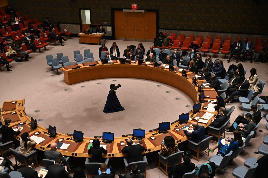 There have been growing calls for reform to the UN Security Council. Photo: AFP
