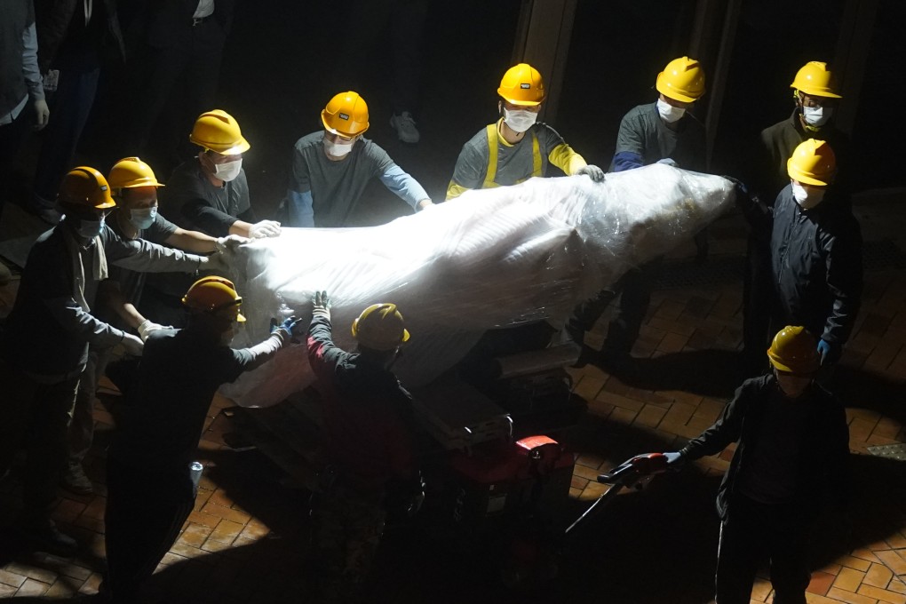 The “Pillar of Shame” statue being removed from HKU’s Pok Fu Lam campus in 2021. Photo: Sam Tsang