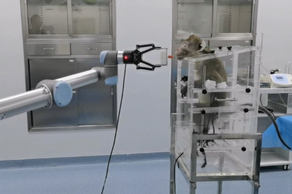 The team released a video of the experiment. Photo: Handout