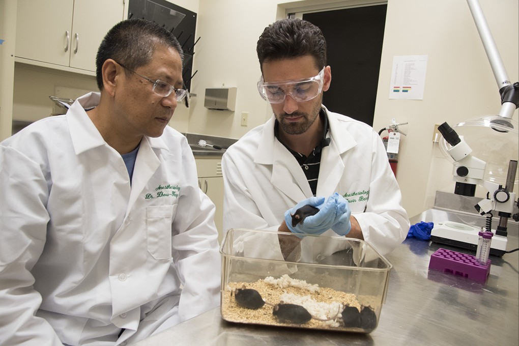 Chen Zhoufeng (left) and his colleagues made a series of discoveries to advance the understanding of how itch works. Photo: Washington University School of Medicine