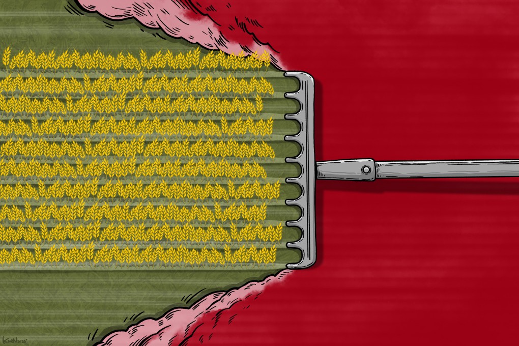 China has rolled out a nationwide campaign to support greater crop yields at a time of rising food insecurity. Illustration: Lau Ka-kuen