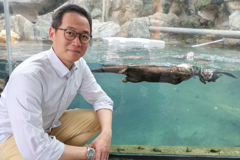 “We are confident we will have new pandas settling down at the park, but I am not sure about the timing,” Ocean Park chairman Paulo Pong said. Photo: Edmond So