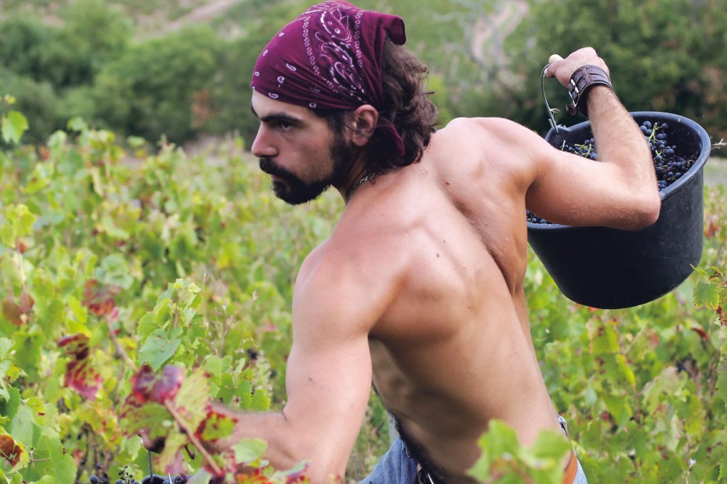 French wine has recovered from the mistakes of the late 20th century, and wines from Beaujolais (above) and southwest France are challenging the old guard. Photo: Susannah Ireland