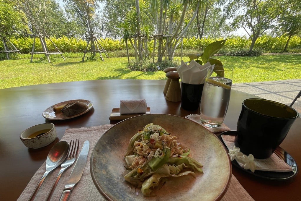 Shredded chicken salad with lemongrass dressing served on the dining room terrace at RAKxa, a riverside wellness and medical retreat in Bangkok whose weight-loss programme is geared to changing attitudes to food and your body, not shedding kilos alone. Photo: Chris Dwyer