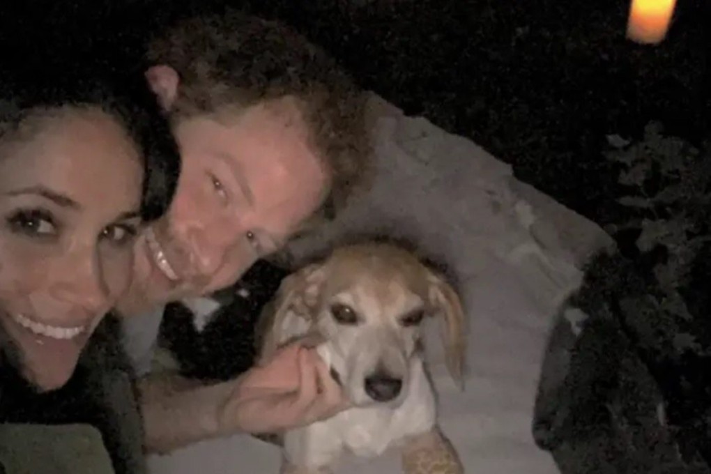 When Prince Harry proposed to Meghan Markle in 2017, she was roasting a chicken, prompting rumours of the engagement chicken, a recipe so good, eating can lead to marriage proposals. Photo: Netflix