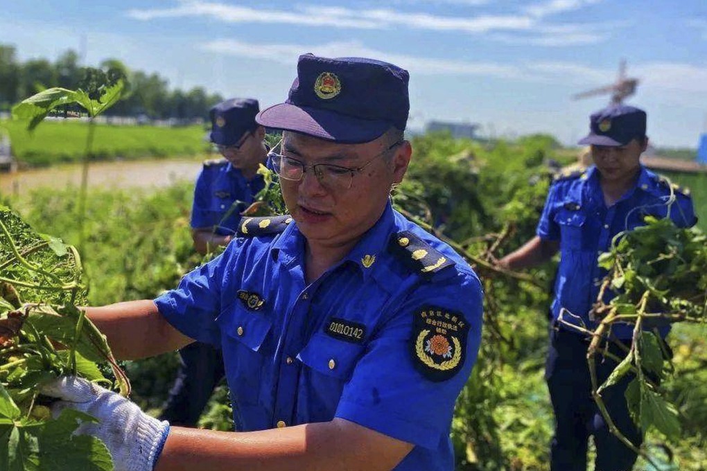 China’s new rural law force accused of bullying farmers after videos of ...