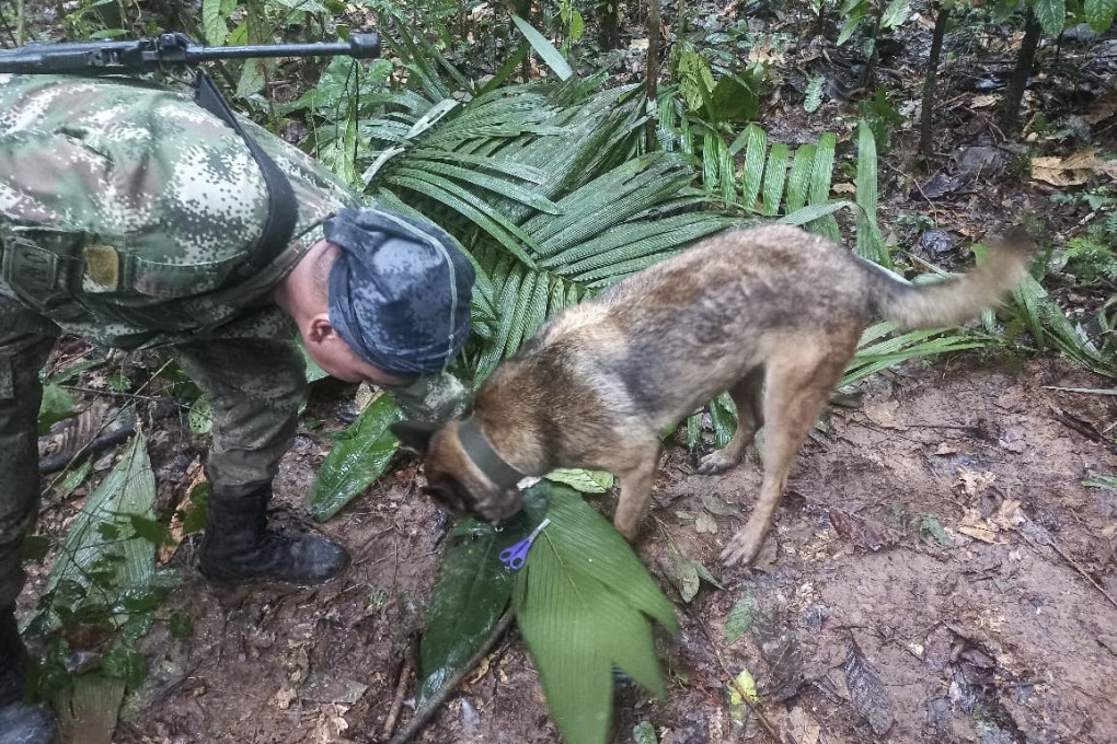 Four children, including baby, found alive in Amazon jungle 17 days after  plane crash | South China Morning Post