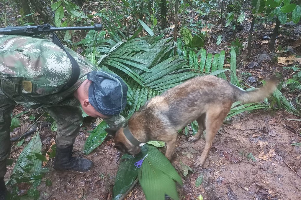 Authorities had deployed more than 100 soldiers with sniffer dogs to search for the minors. Photo: Colombian army via AFP