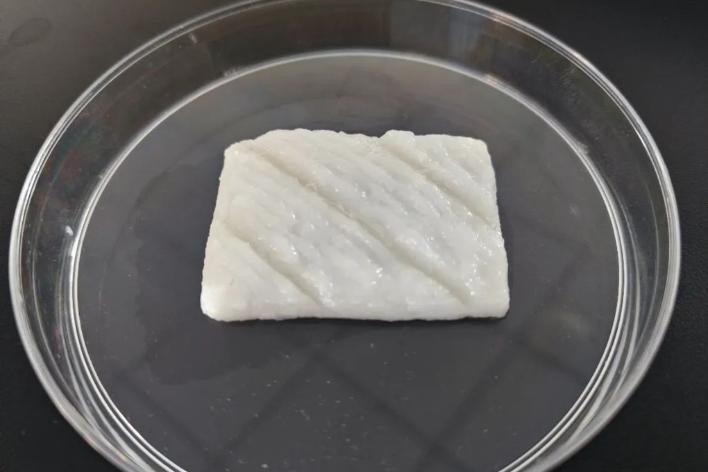 Researchers have made China’s first centimetre-long cultured fish fillets with the help of 3D technology. Photo: Zhejiang University