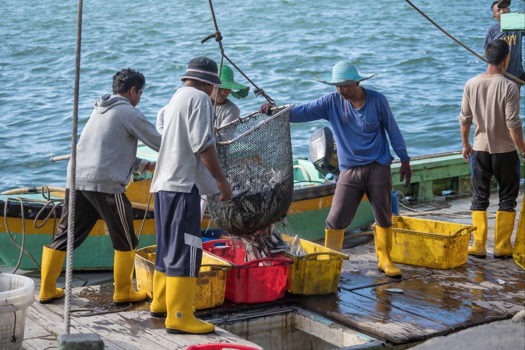 Malaysian fishermen load freshly caught fish from a ship into plastic containers in Kota Kinabalu, Malaysia’s Sabah state. Photo: Shutterstock
