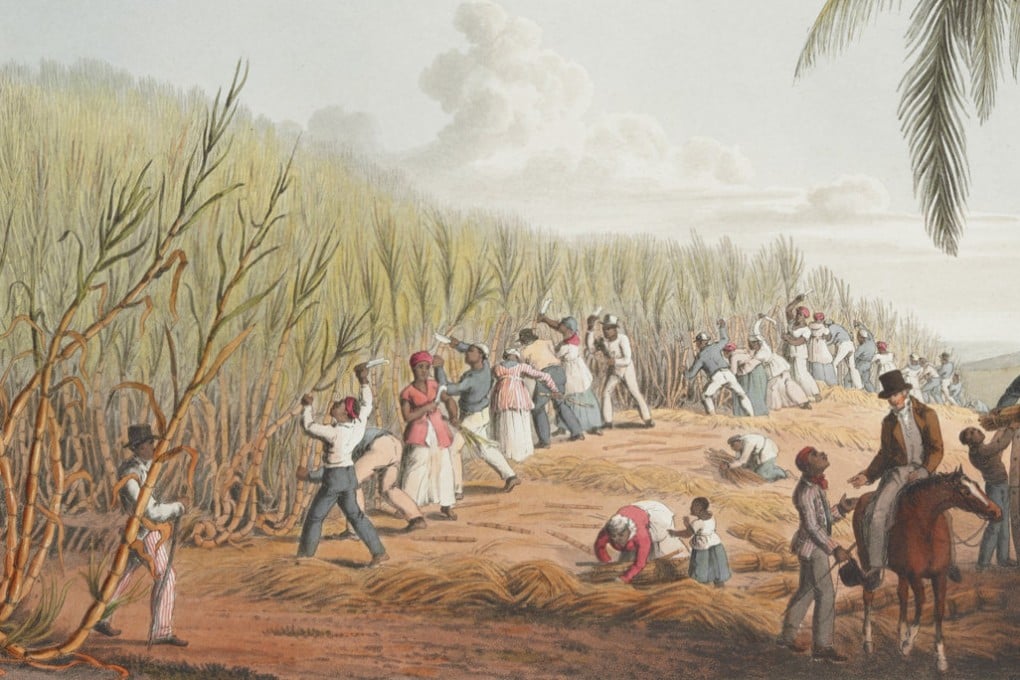 A painting by 19th century British artist William Clark shows slaves cutting sugar cane in Antigua, which Britain colonised in 1632. Credit: British Library