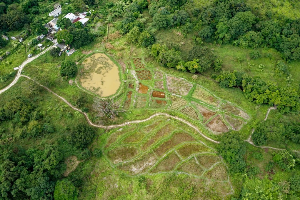 The future of Sha Lo Tung, a remote countryside area in Hong Kong that has witnessed a decades-long land-development battle that left the environment around it scarred, appears bright. Photo: Martin Williams