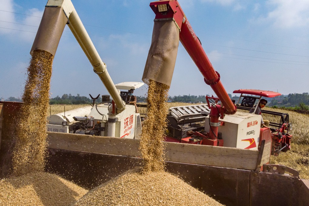 China produced more than 137.7 million tonnes of wheat last year, according to official figures. Photo: Xinhua