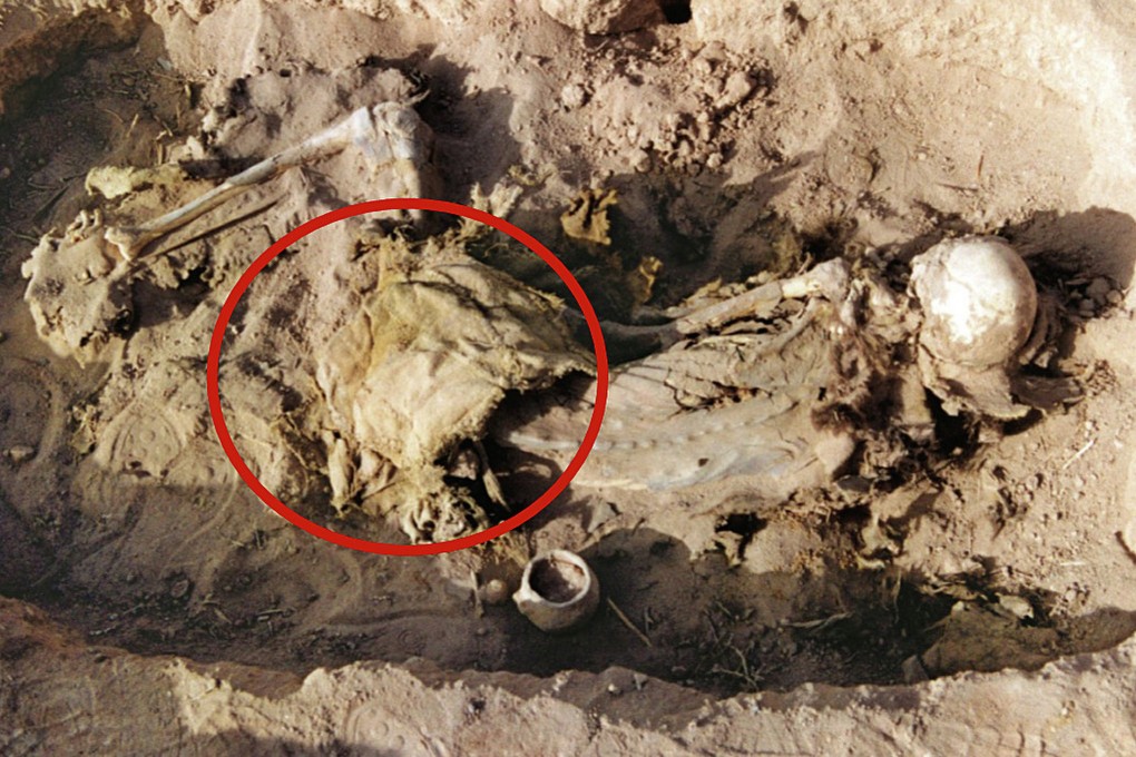 A 2,700-year-old tomb from an archaeological site in Xinjiang contains a woman and a leather saddle she was buried with. It is the oldest leather saddle ever documented. Photo: P. Wertmann
