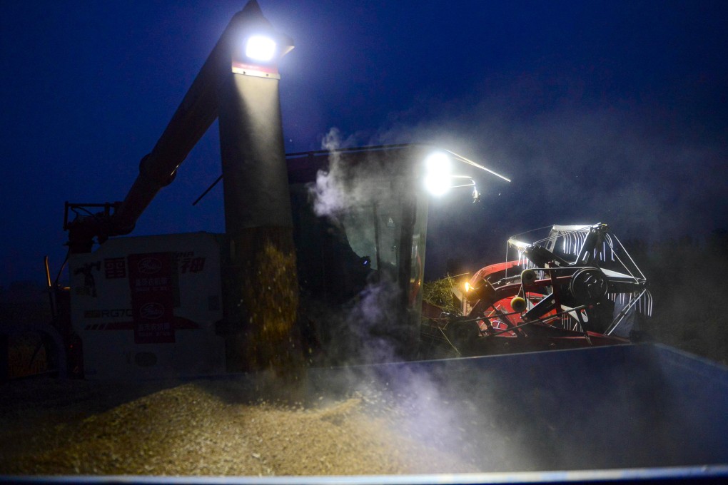 Farmers in China’s Henan province are harvesting wheat day and night, as seen here late on Thursday in a small town near Zhumadian city. Photo: Xinhua
