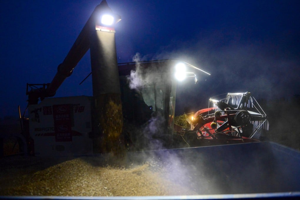 Farmers in China’s Henan province are harvesting wheat day and night, as seen here late on Thursday in a small town near Zhumadian city. Photo: Xinhua