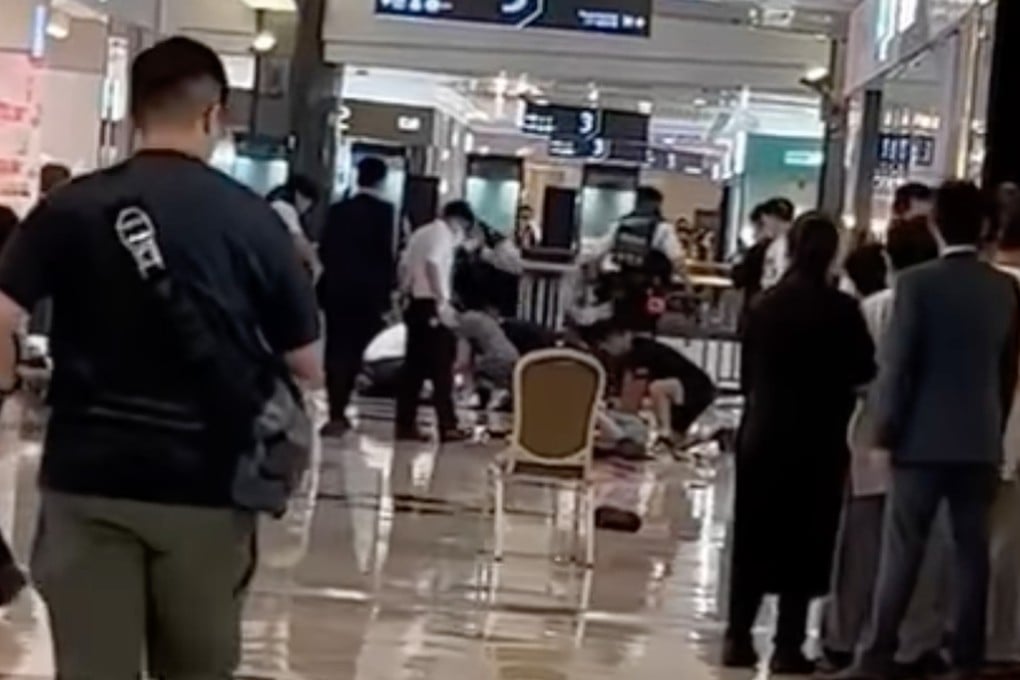 Viral footage of the fatal stabbing of two women at a Hong Kong shopping mall has prompted public safety concerns. Photo: Facebook/Bosco Chu