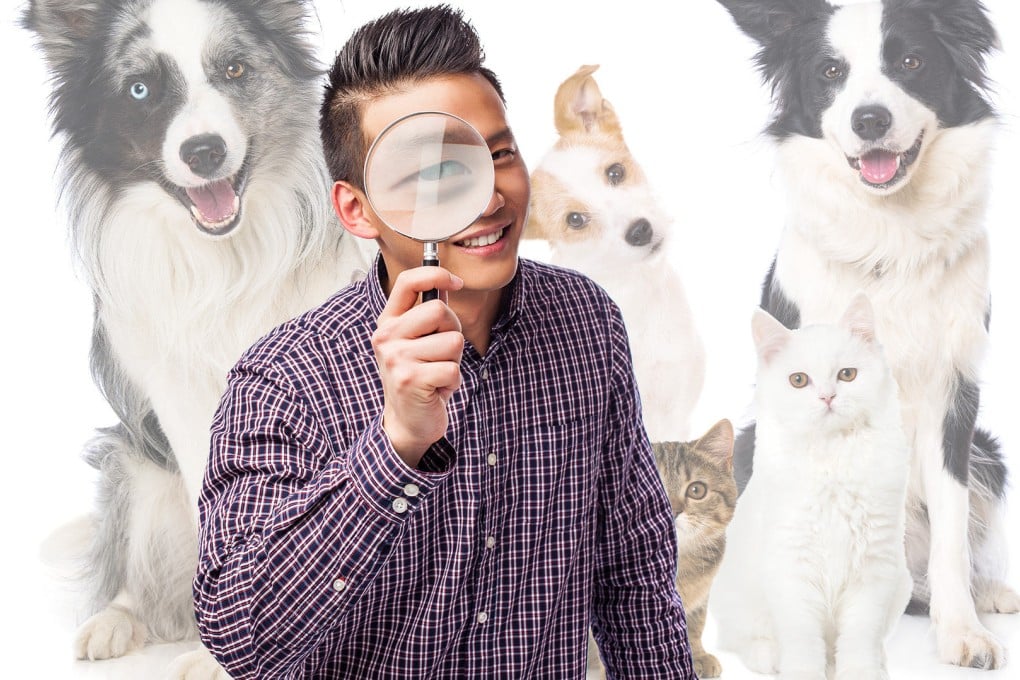 Most cases taken on by pet detectives are for lost cats and dogs, and in some cases, they are found hiding inside the owner’s home, says one detective. Photo: SCMP composite