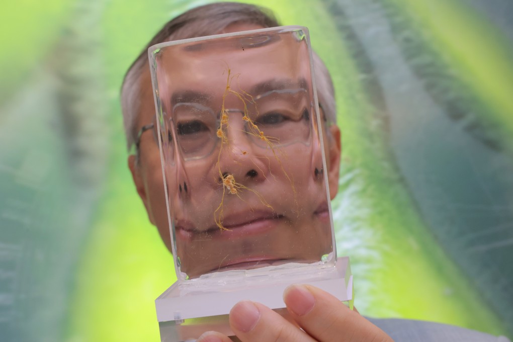 Local universities have made some impressive hires, securing the services of distinguished professors in the field. In May, Professor Lam Hon-Ming of the Chinese University of Hong Kong briefed the media on the school’s genomic soybean research project that was launched into space. Photo: Jelly Tse