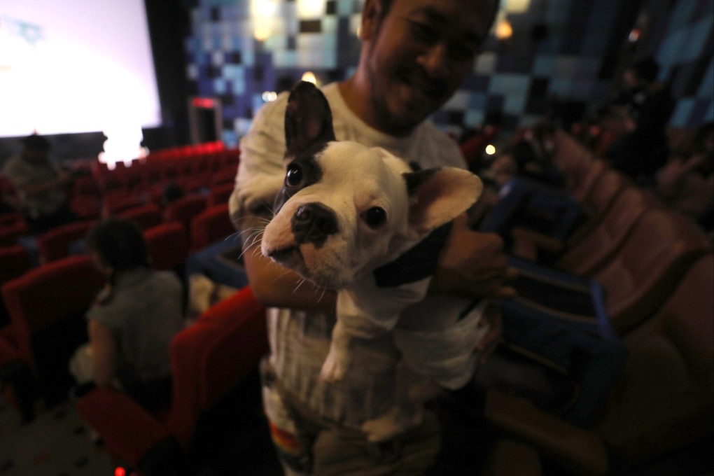 A man and his dog wait inside a movie theatre to watch a movie during the opening day of the pet friendly theatre ‘i-Tail Pet Cinema’ at Mega Cineplex in Thailand. Photo: EPA-EFE