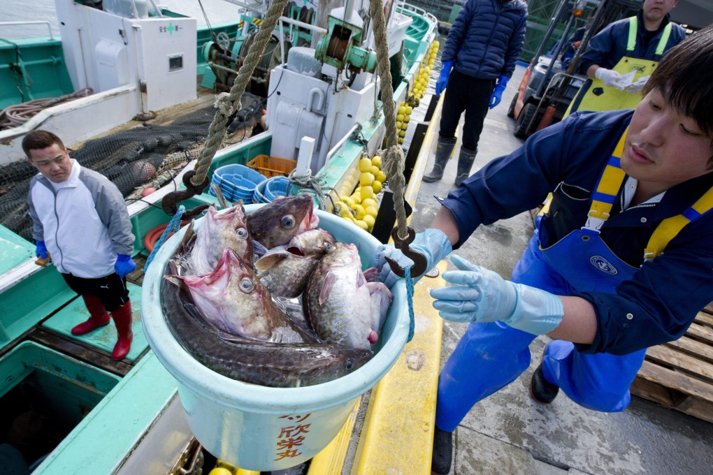 Japanese fishermen haul in a catch near destroyed nuclear power plants at Soma port, Fukushima prefecture. Photo: EPA