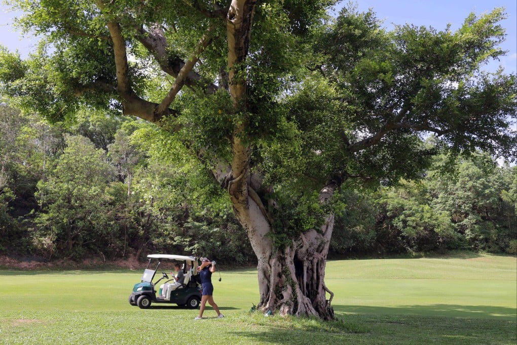 A golfer plays at the Hong Kong Golf Club in Fanling on June 5. The government wants to take back part of the club’s Old Course to build public housing. Photo: Jelly Tse
