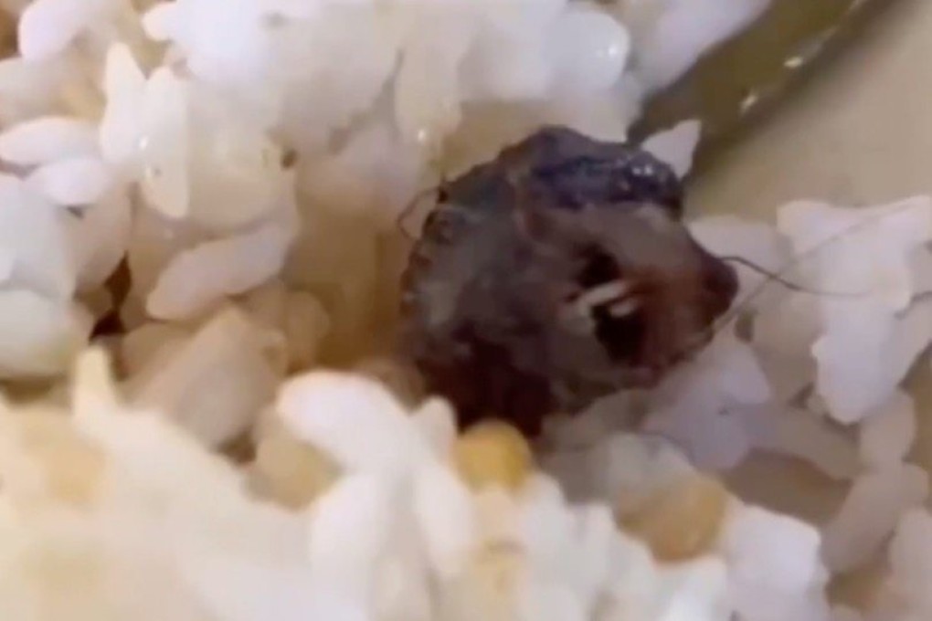 Provincial officials declared the foreign object was part of a mouse, not duck neck as earlier suggested.  Photo: Guancha.cn