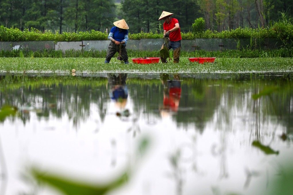 China’s total arable land has decreased amid rapid urbanisation in recent decades, but the trend has reversed for the past two years. Photo: Xinhua