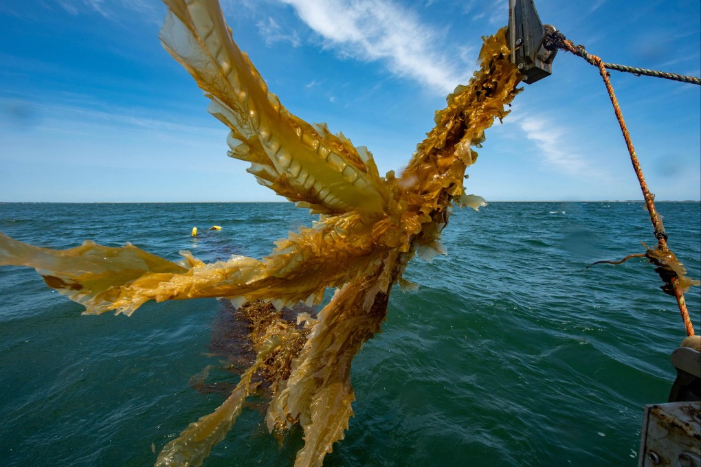 The first international treaty to protect the high seas will include the ability to create protected marine areas in international waters. Photo: AFP