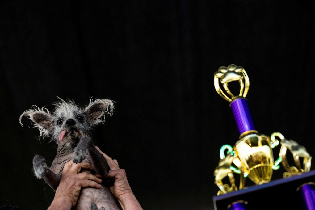 Linda Elmquist, holds her dog Scooter after winning the annual World’s Ugliest Dog Contest at the Sonoma-Marin Fair. Photo: Reuters